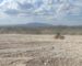 FV Desierto Solar, parque fotovoltaico en Alcantarilla