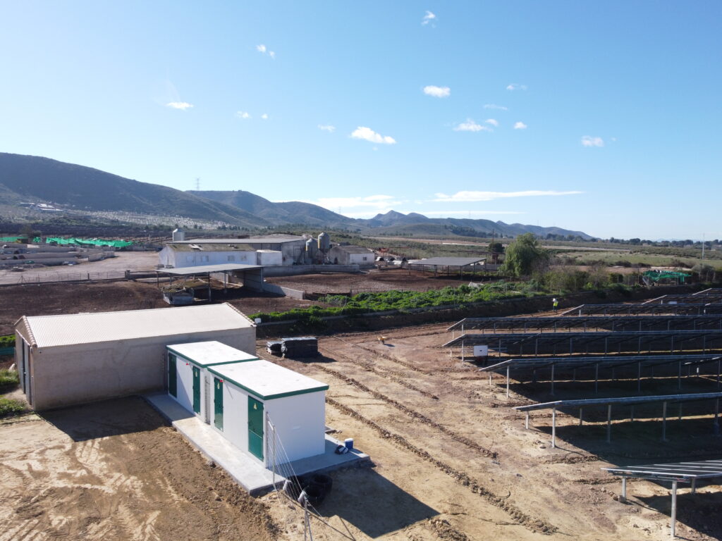 CPM Agrivoltaica alcaparra